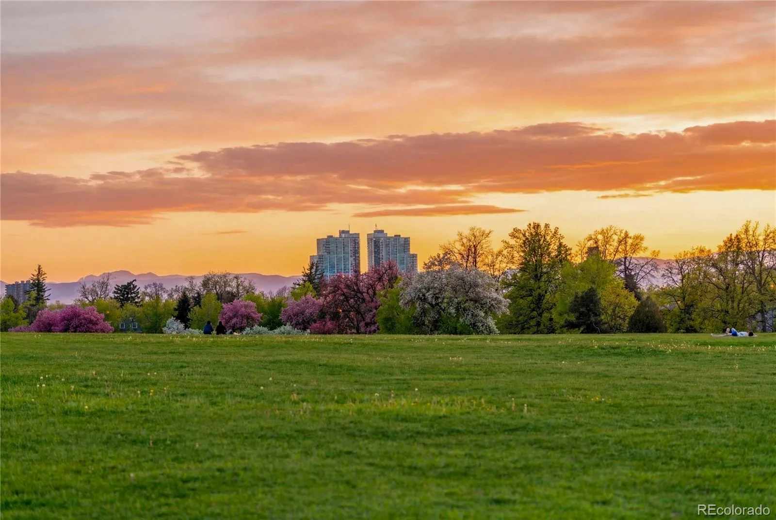 1243 Vine Street #6 Denver CO 80206 | MLS #REC6301859 08262026233705 1600 26