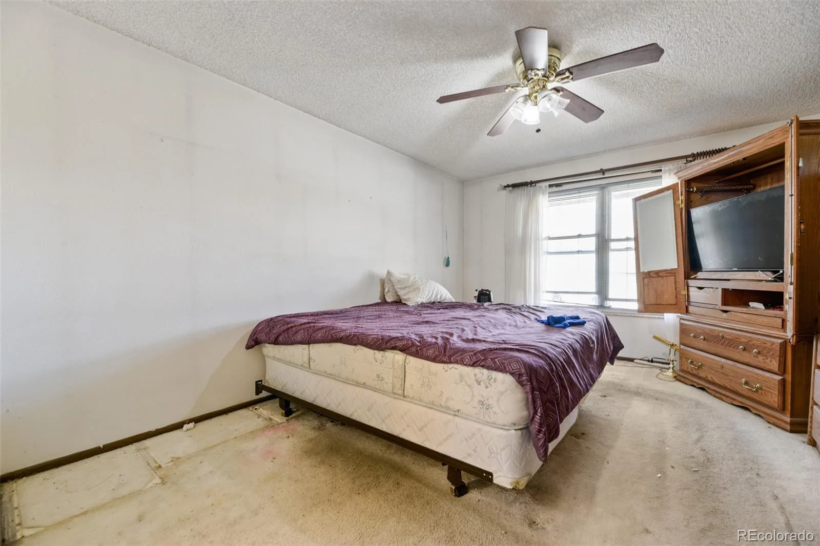 5040 Uvalda Street Denver CO 80239 | MLS #REC6304016 07232026231538 1600 16