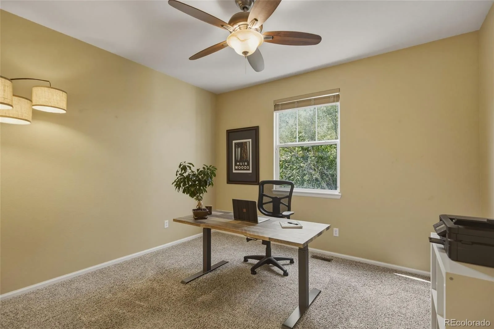 3668 Springmeadow Circle Castle Rock CO 80109 MLS #REC6317933 07222026221800 1600 19