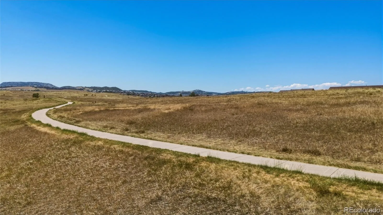 3668 Springmeadow Circle Castle Rock CO 80109 MLS #REC6317933 07222026221800 1600 37