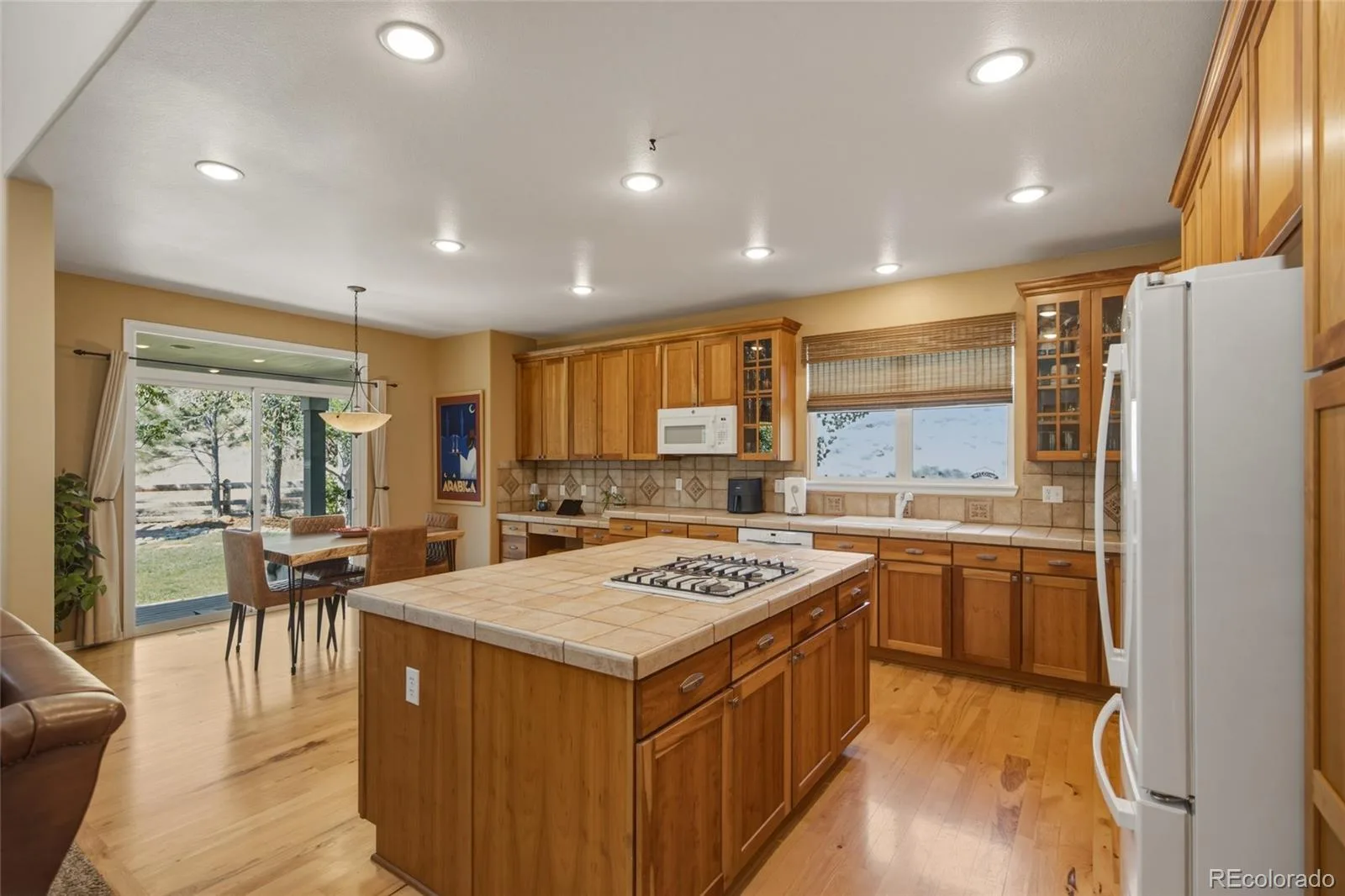 3668 Springmeadow Circle Castle Rock CO 80109 MLS #REC6317933 07222026221800 1600 9
