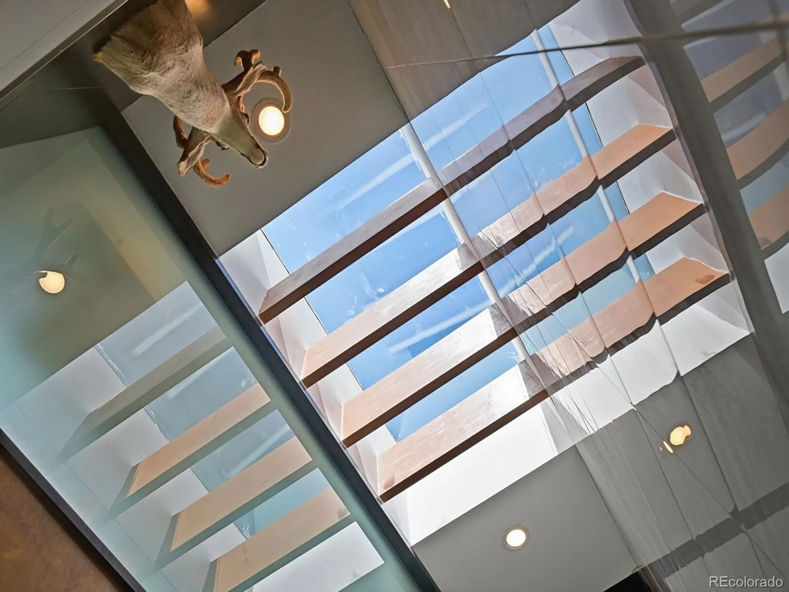 04172026022047 1600 24