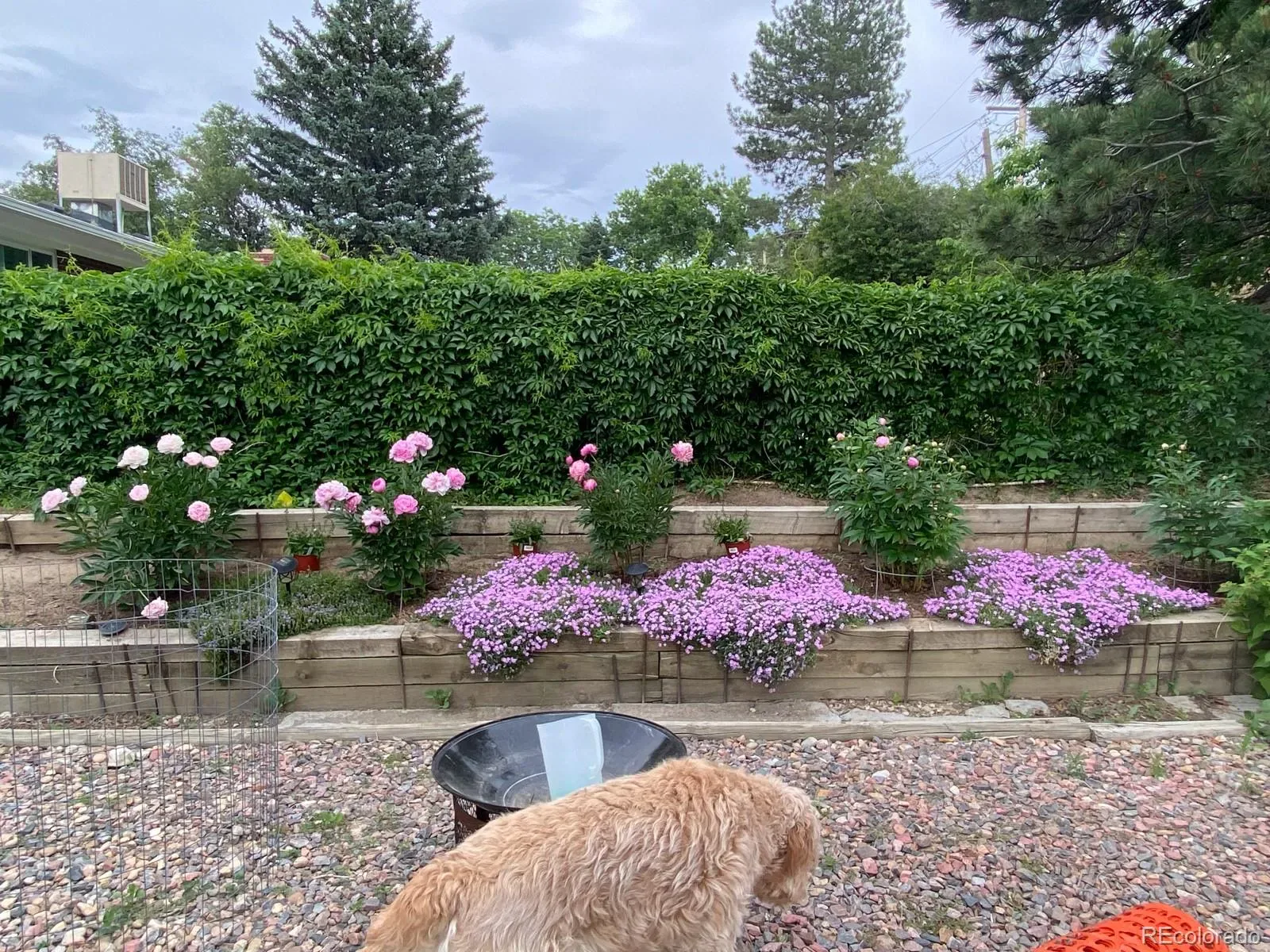 03272026152640 1600 21