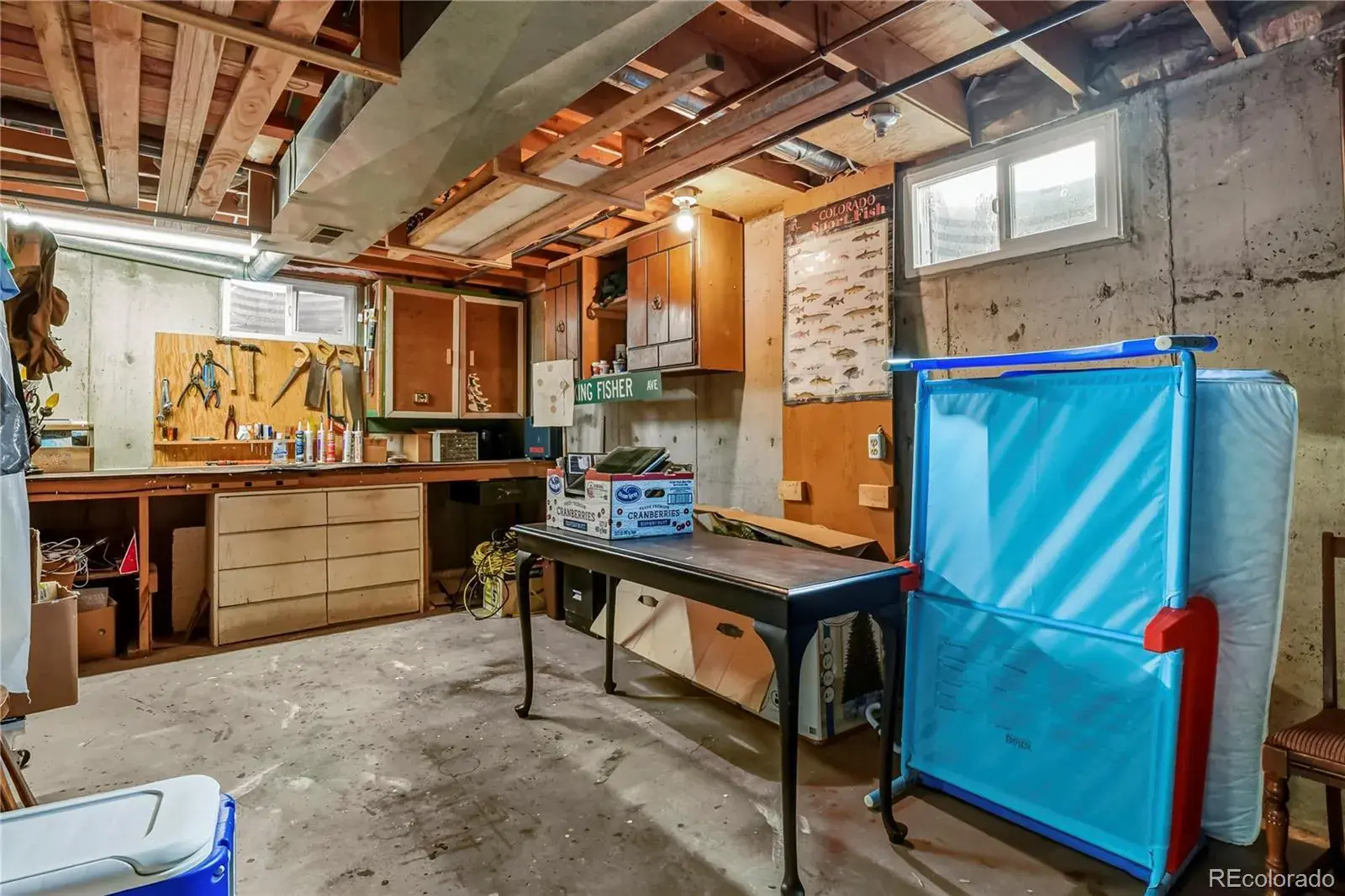 01232026184915 1600 30