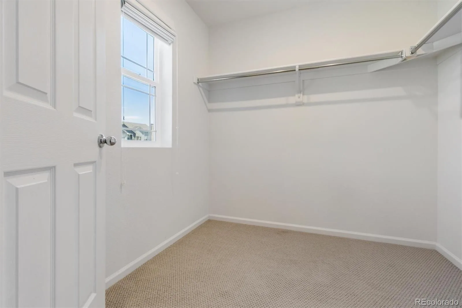 399 Courtfield Way Castle Rock CO 80108 | MLS #REC6331051 07242026174449 1600 20