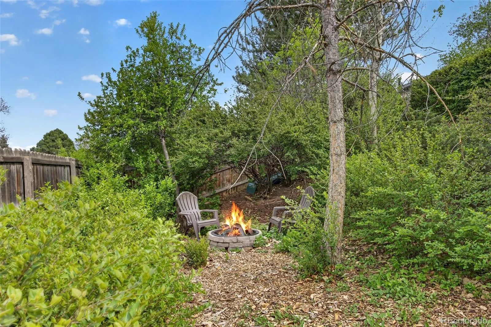 6385 W Frost Drive Littleton CO 80128 MLS #REC6332239 04292026042105 1600 41