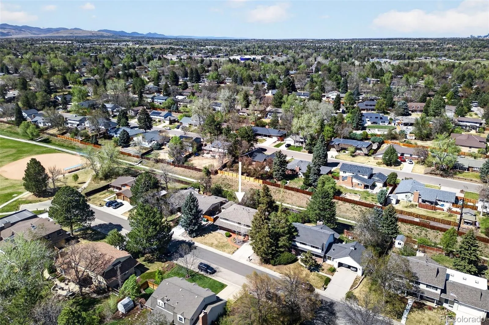 6385 W Frost Drive Littleton CO 80128 MLS #REC6332239 04292026042105 1600 44