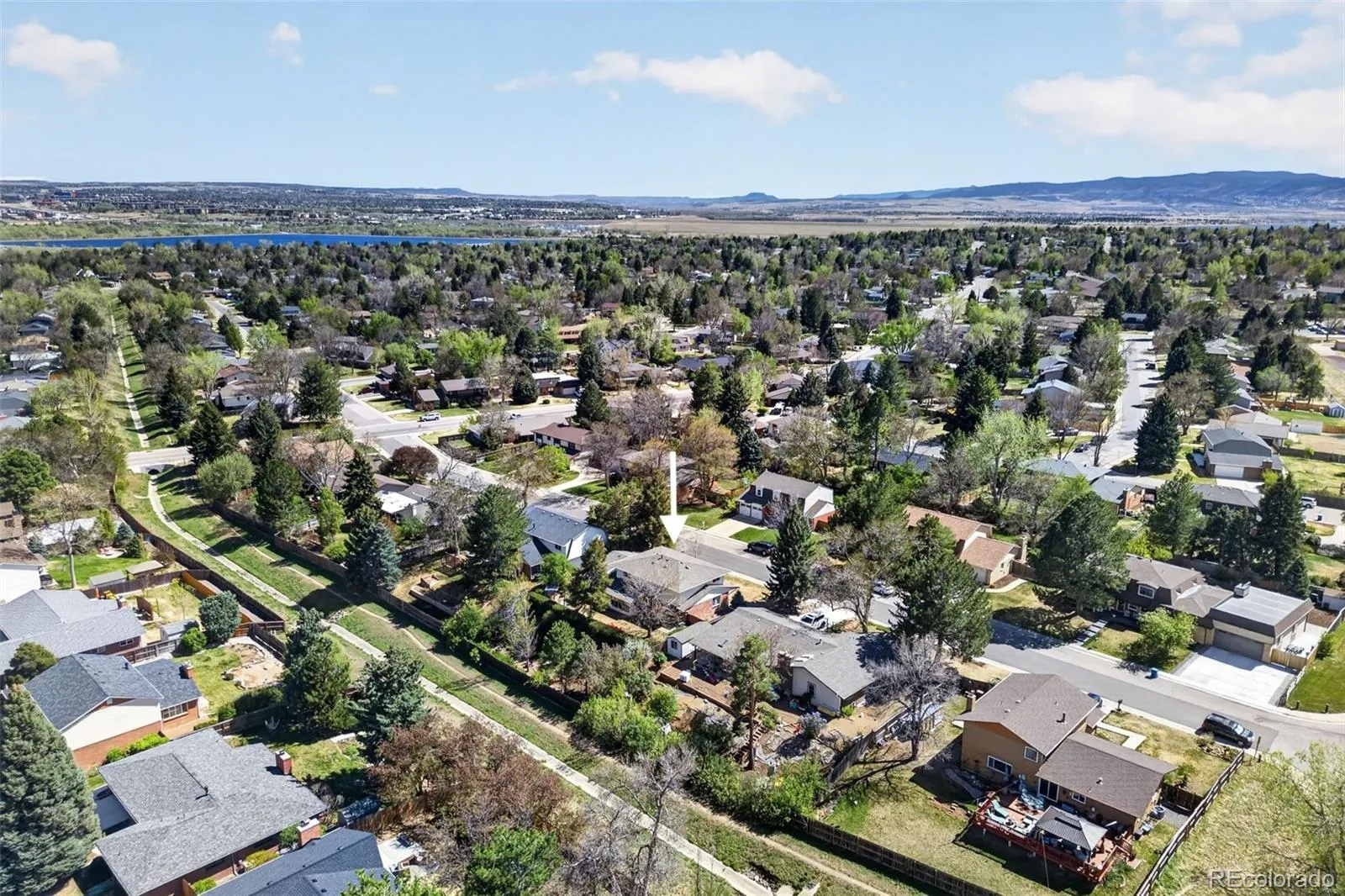 6385 W Frost Drive Littleton CO 80128 MLS #REC6332239 04292026042105 1600 45