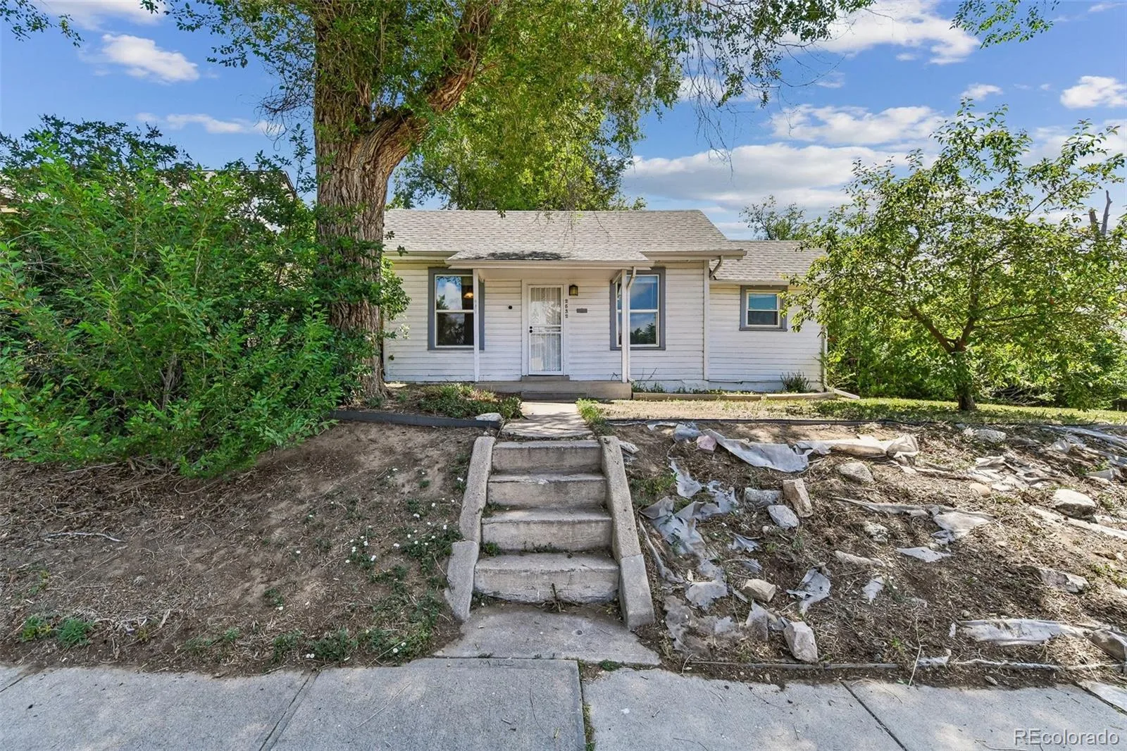2532 Depew Street Edgewater CO 80214 MLS #REC6338846 06102026205022 1600 6