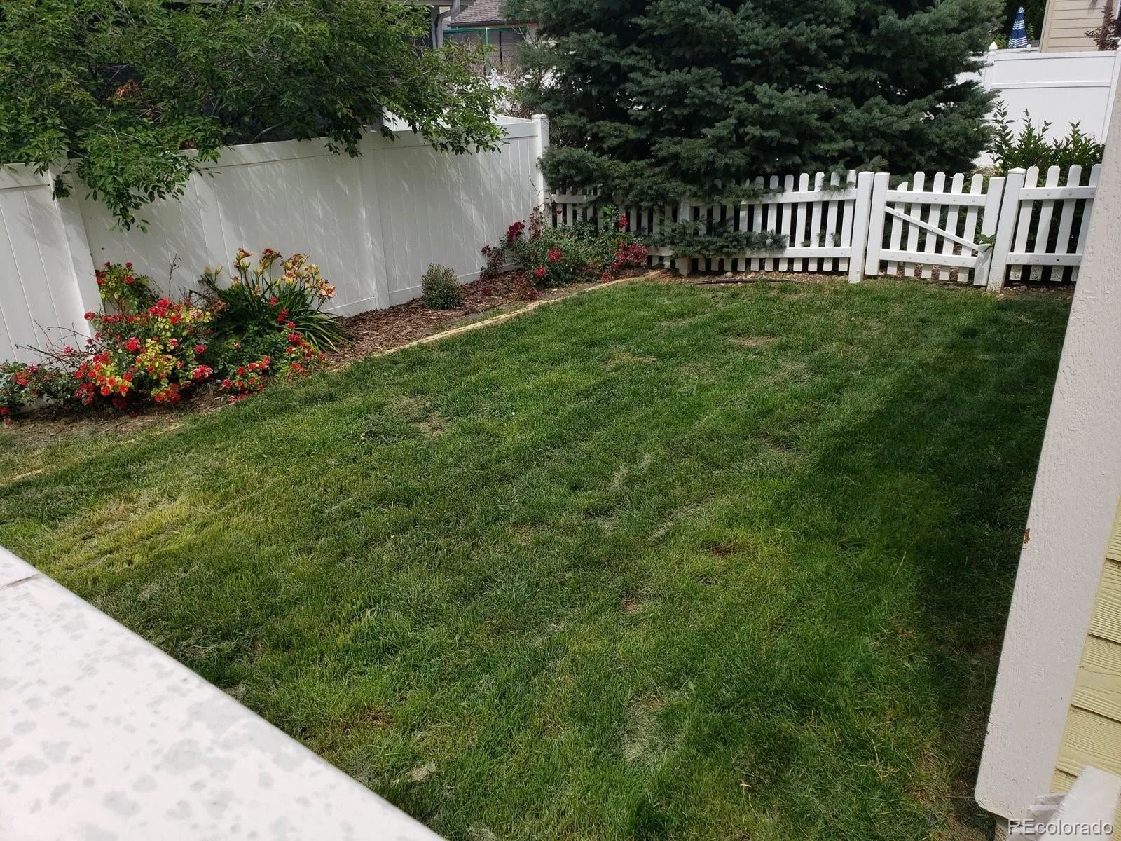 146 S 45th Avenue Brighton CO 80601 | MLS #REC6345059 08072026203137 1600 24