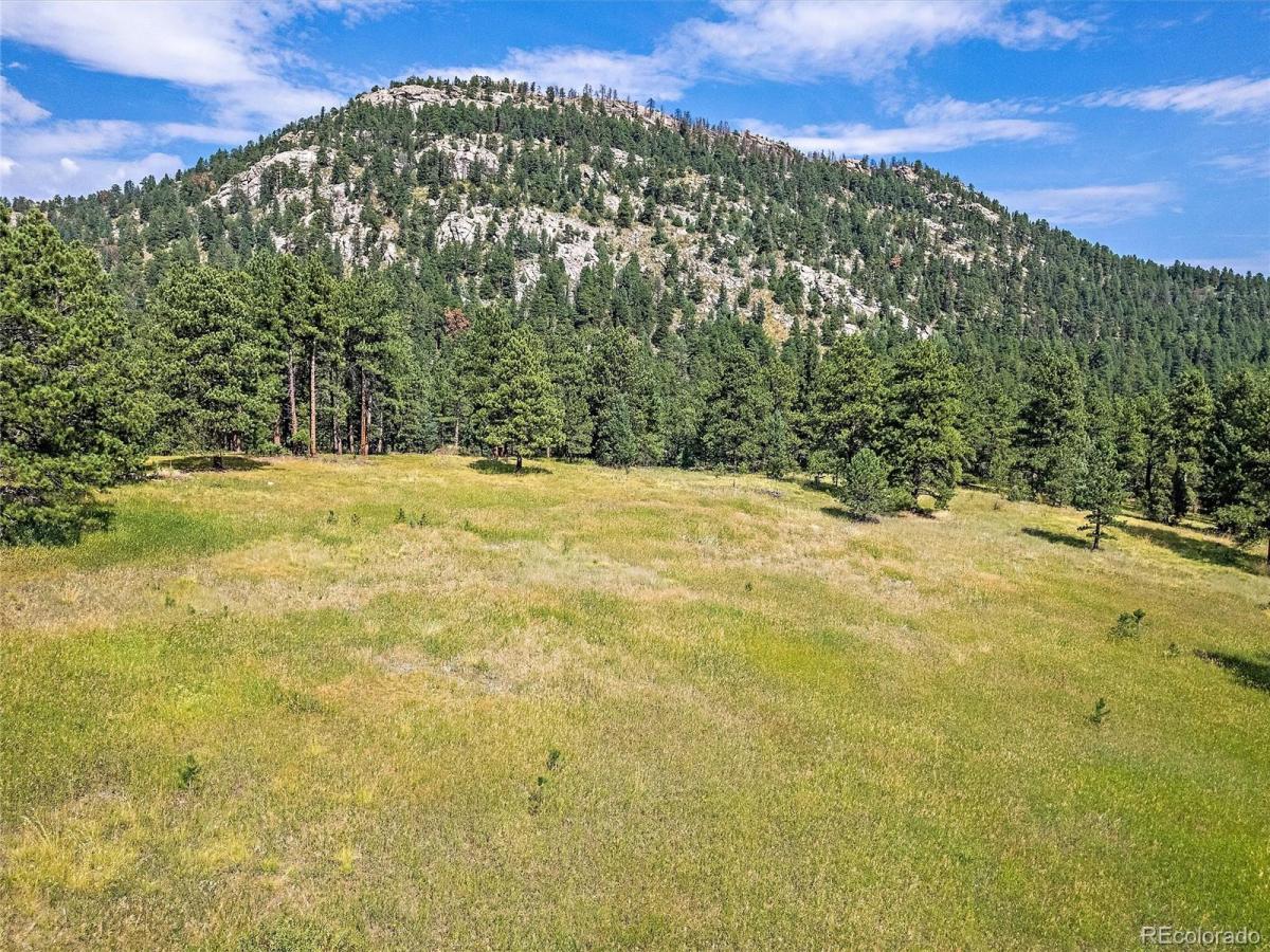 MLS #REC6349246 image #0