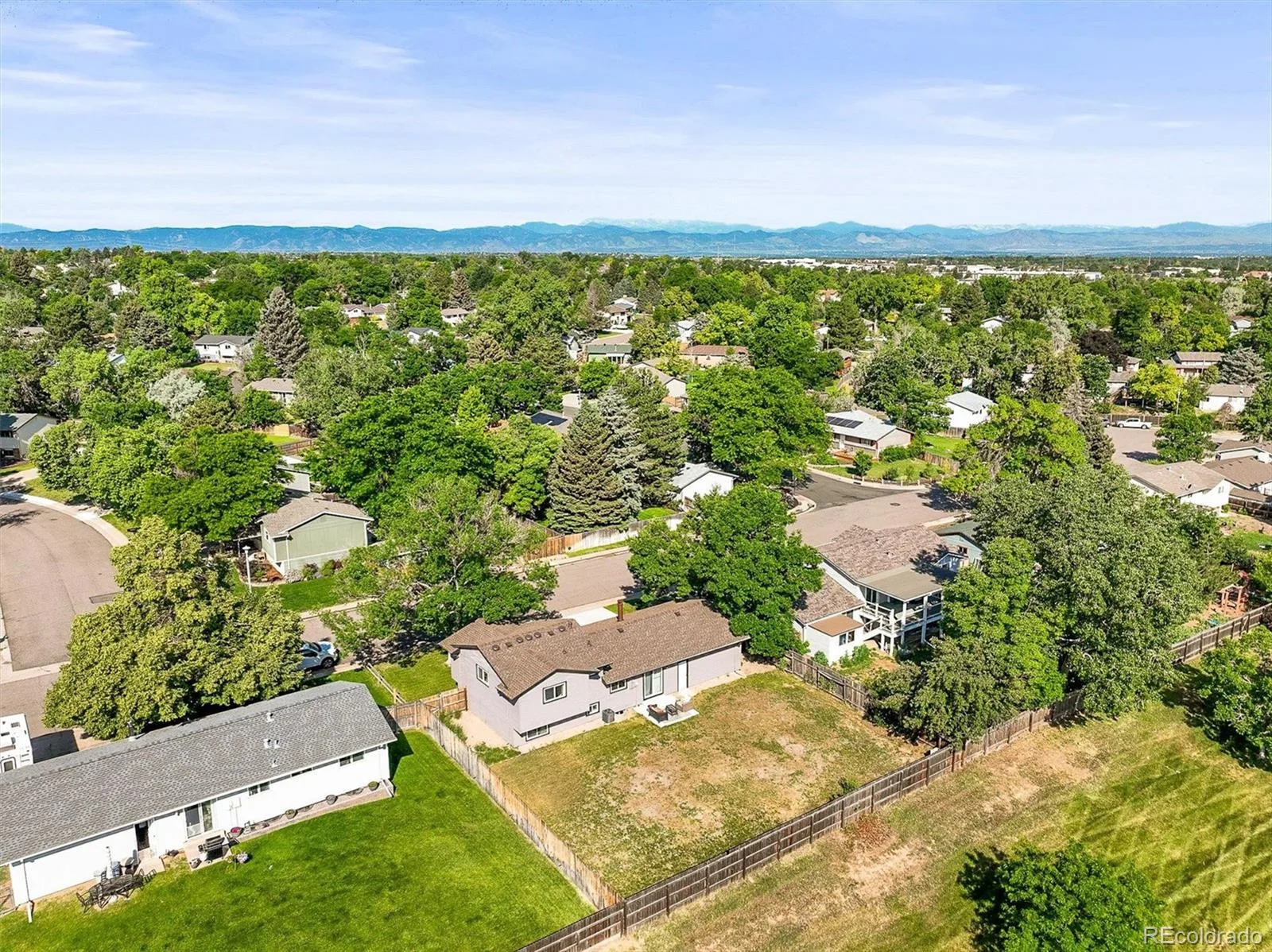 13542 Achilles Drive Lone Tree CO 80124 | MLS #REC6360913 05302026090412 1600 26