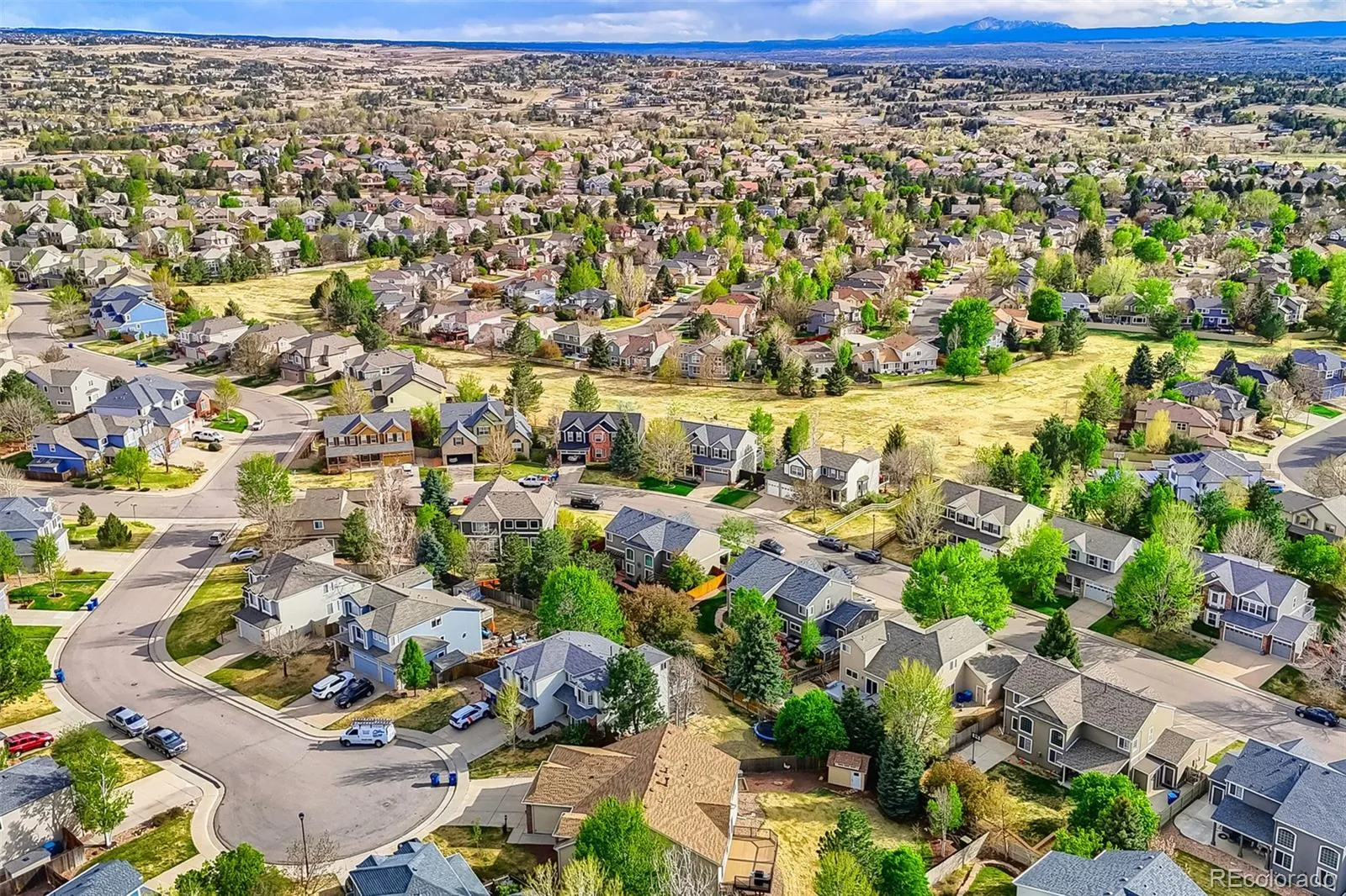 19548 E Powers Place Aurora CO 80015 MLS #REC6363192 04262026132045 1600 39
