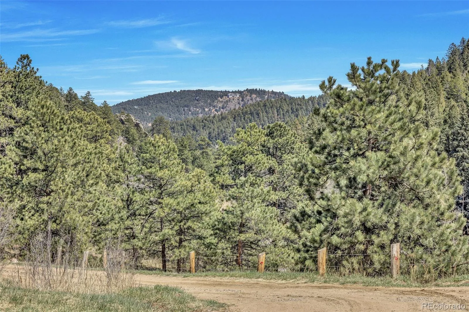 12183 Arnett Ranch Road Littleton CO 80127 | MLS #REC6369063 05162026041016 1600 25