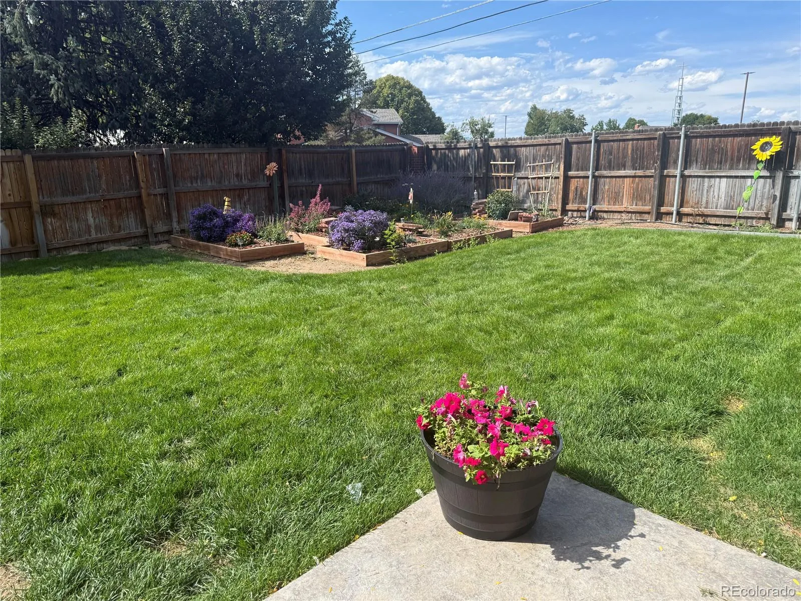 6851 S Prince Circle Littleton CO 80120 | MLS #REC6374881 10182026222352 1600 1