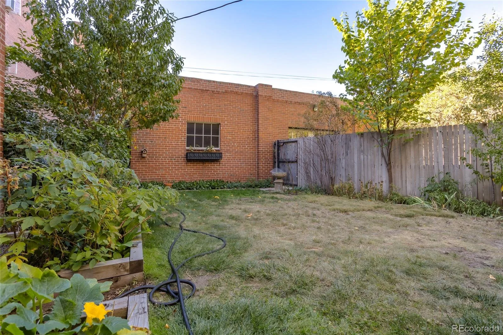 949 N Emerson Street #8 Denver CO 80218 | MLS #REC6377750 10132026214353 1600 19