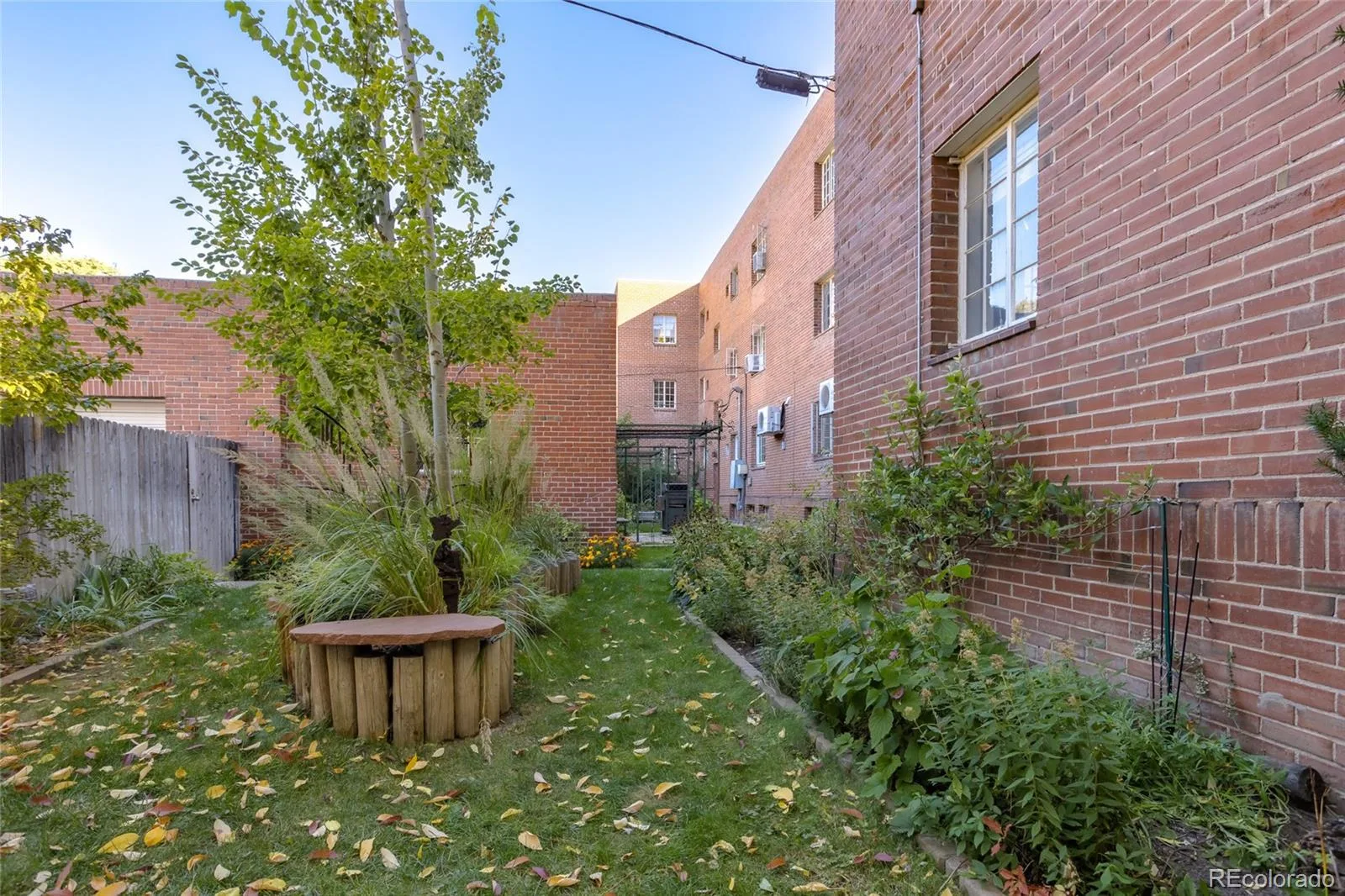 949 N Emerson Street #8 Denver CO 80218 | MLS #REC6377750 10132026214353 1600 21