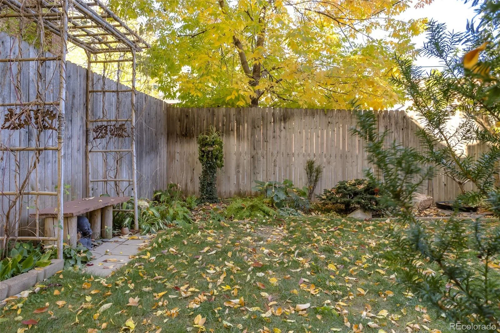 949 N Emerson Street #8 Denver CO 80218 | MLS #REC6377750 10132026214353 1600 22