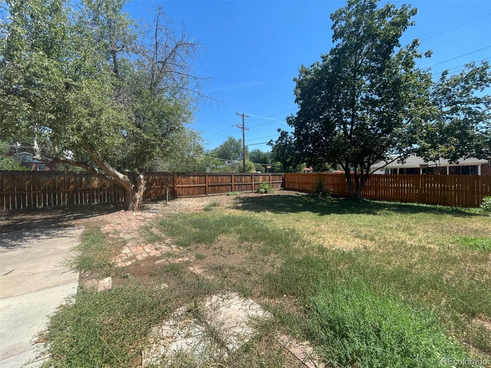 3100 S Mabry Way Denver CO 80236 | MLS #REC6381900 07292026185707 1600 8