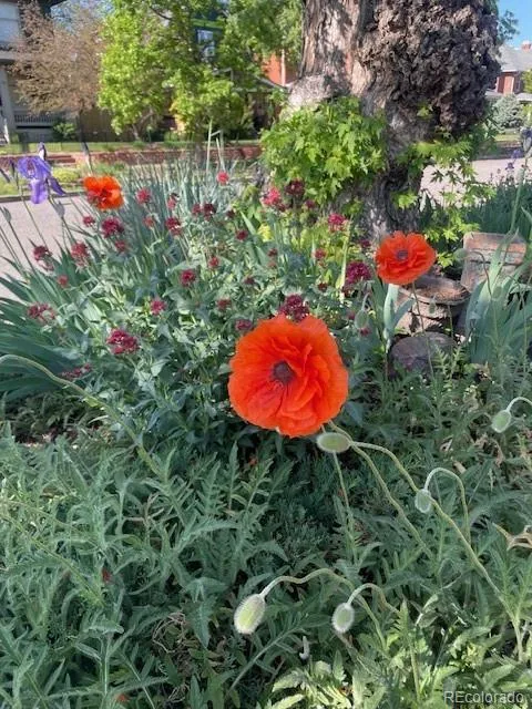 04142026230635 480 38