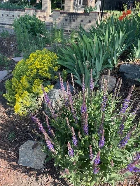 04142026230635 480 40