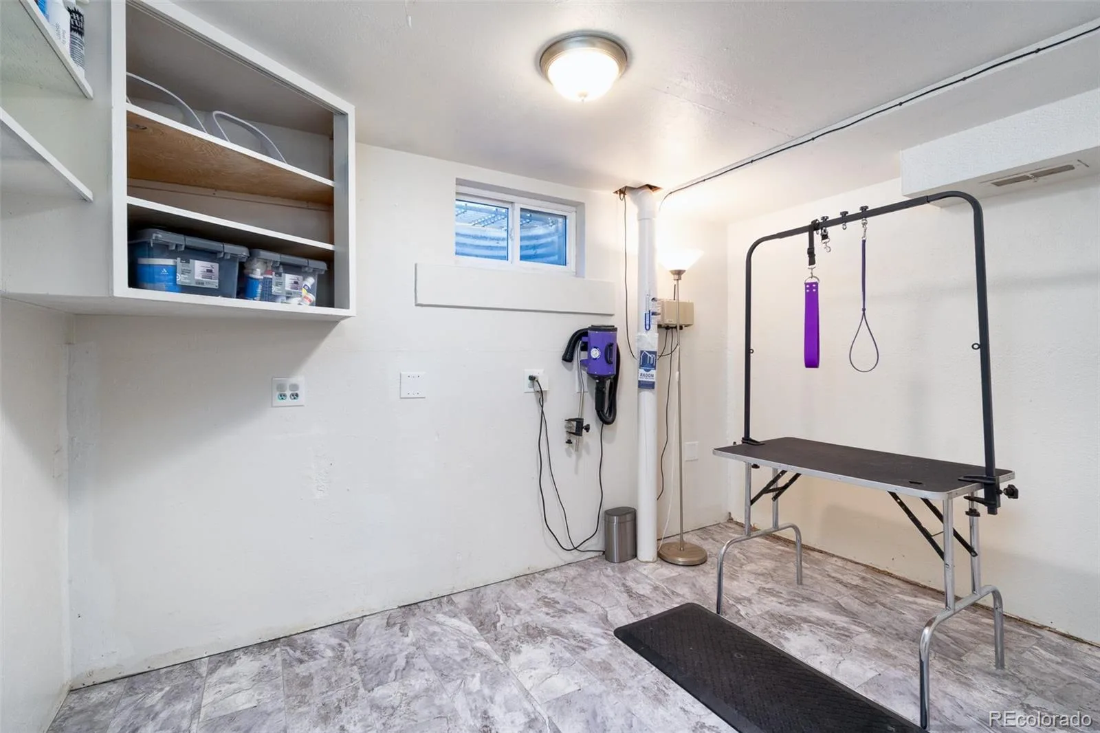 246 Lansing Street Aurora CO 80010 | MLS #REC6387282 08122026212741 1600 26