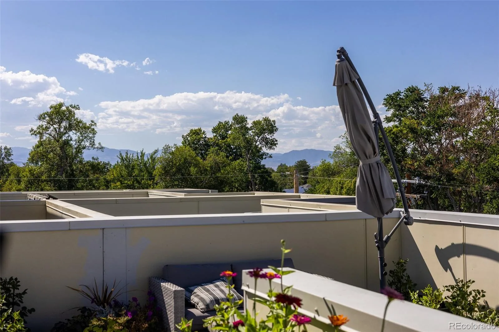 4943 Lowell Boulevard #2 Denver CO 80221 | MLS #REC6389117 08222026002055 1600 35