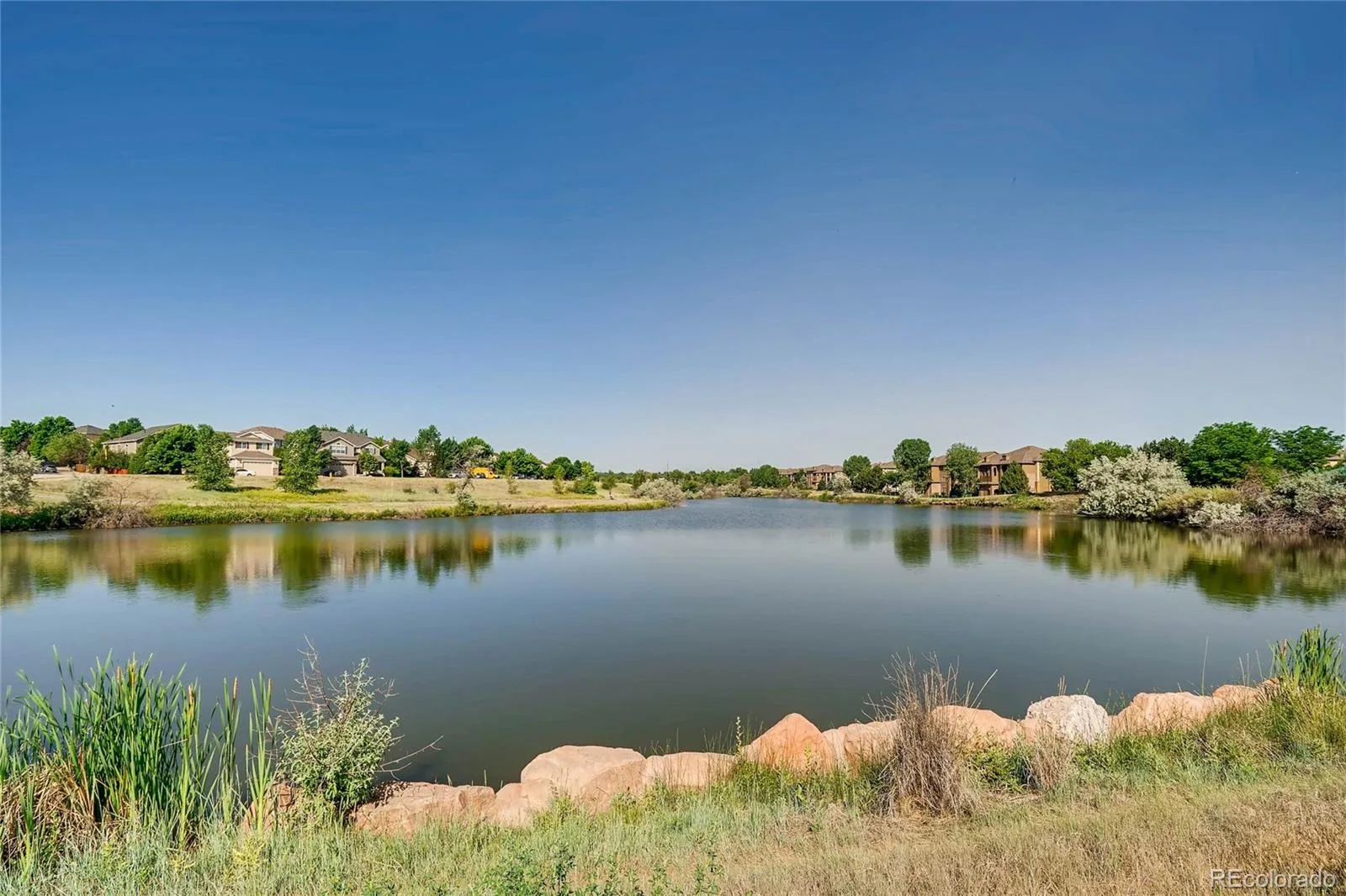 867 E 98th Avenue #1201 Thornton CO 80229 | MLS #REC6396554 08072026155012 1600 41