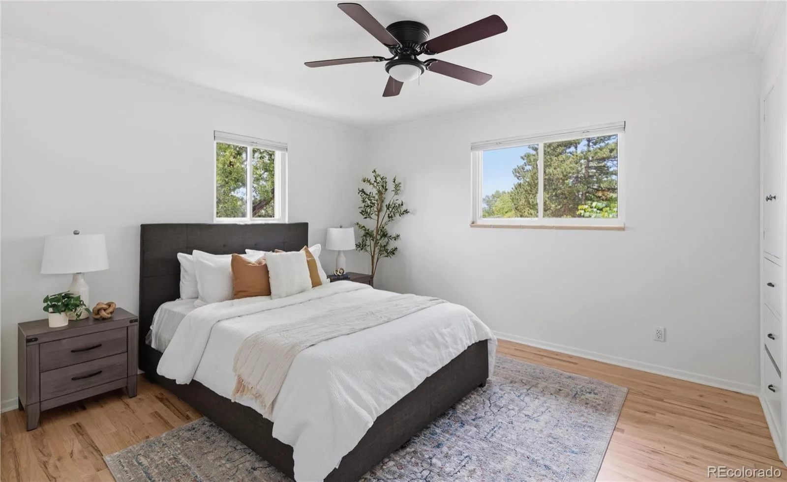 804 S Queen Way Lakewood CO 80226 | MLS #REC6400189 07292026212633 1600 12