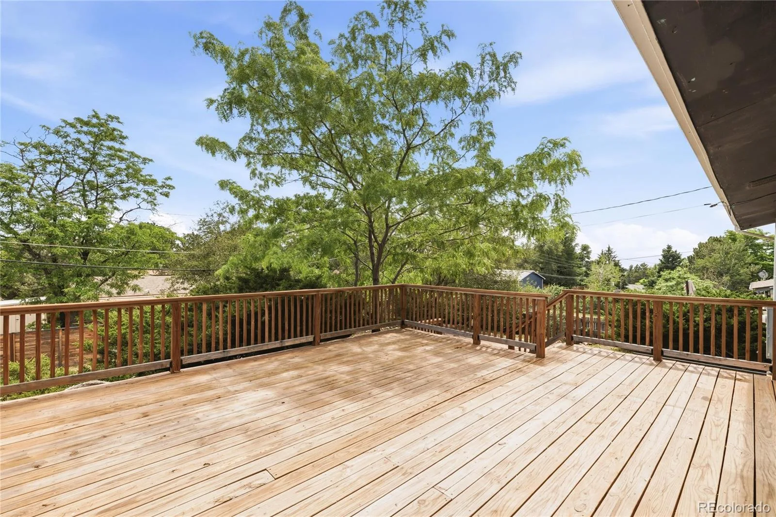 804 S Queen Way Lakewood CO 80226 | MLS #REC6400189 07292026212633 1600 25