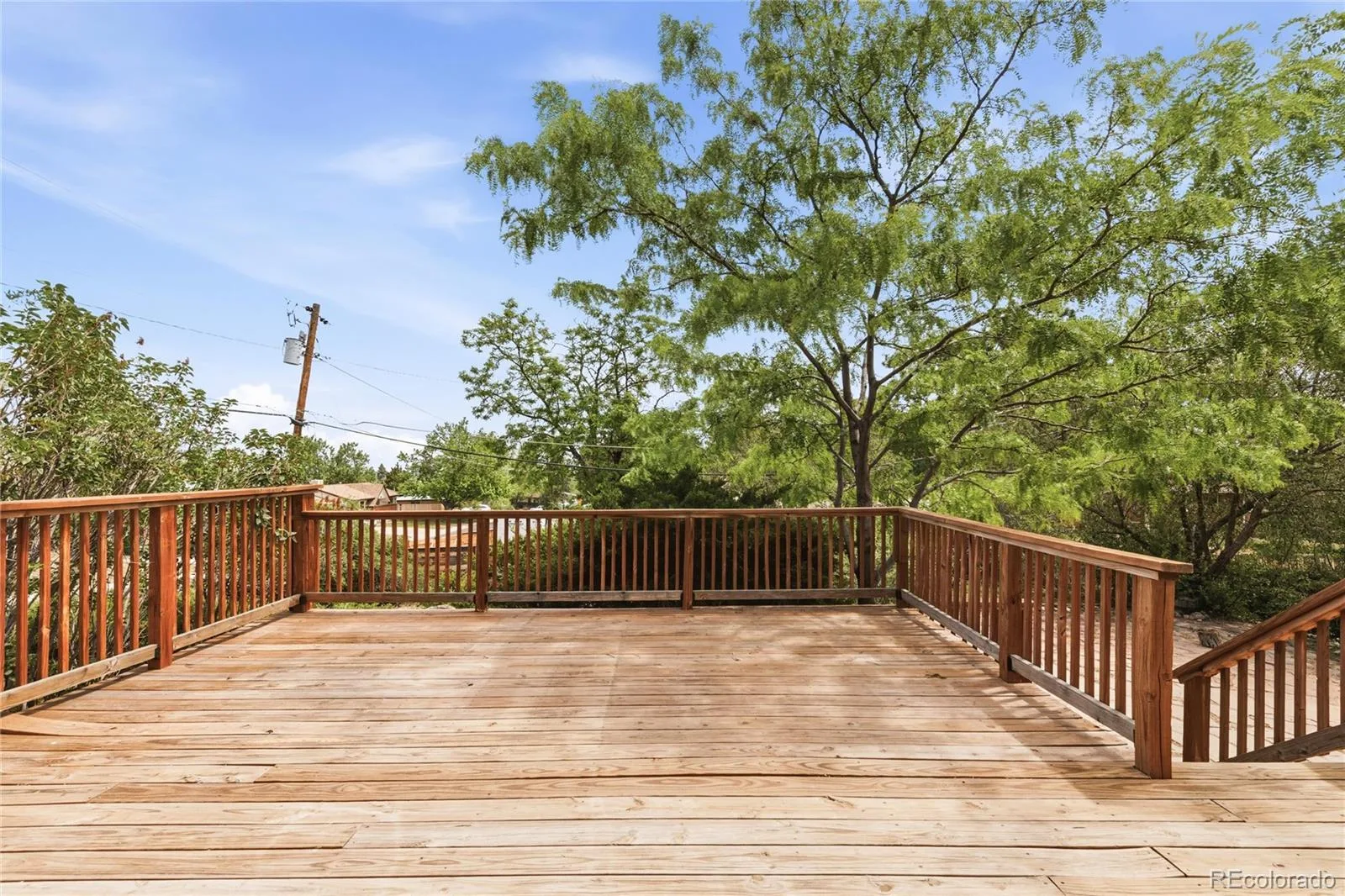 804 S Queen Way Lakewood CO 80226 | MLS #REC6400189 07292026212633 1600 26