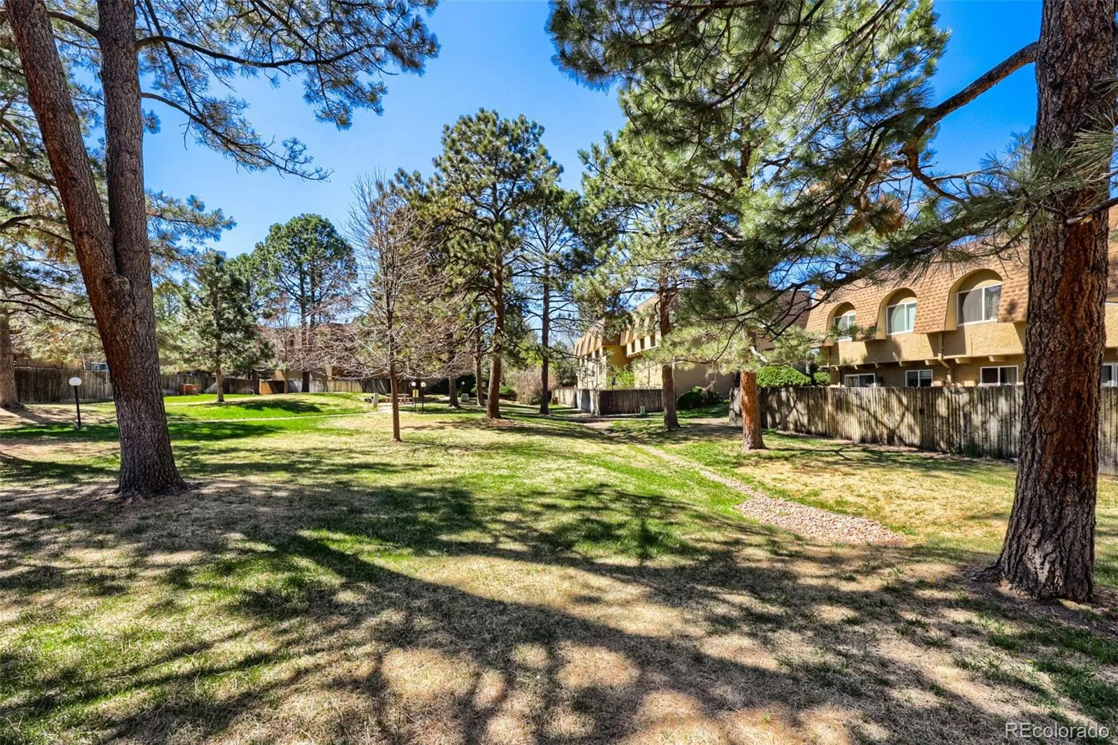 04092026214536 1600 34