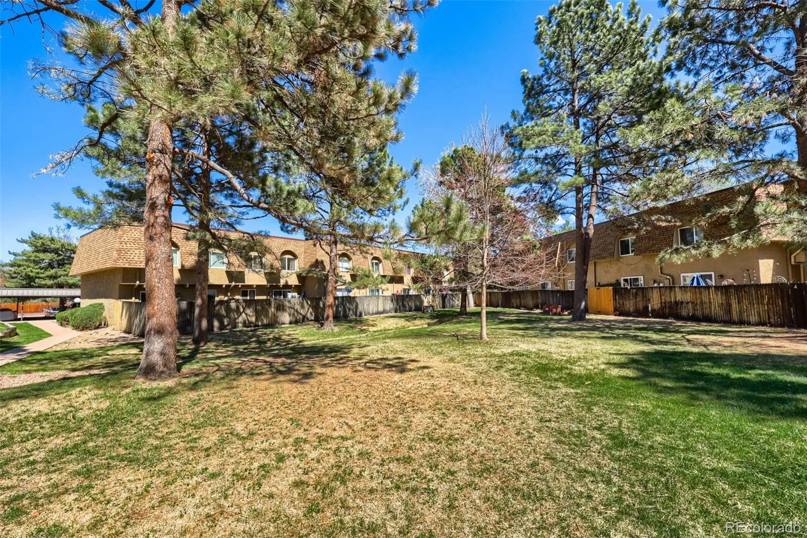 04092026214536 1600 35