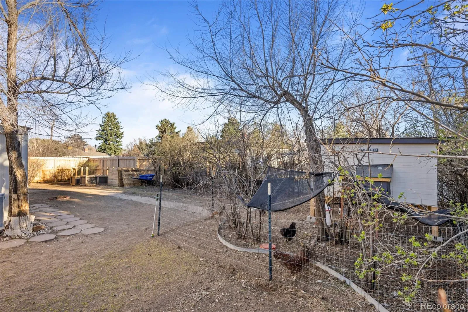 03272026005244 1600 40