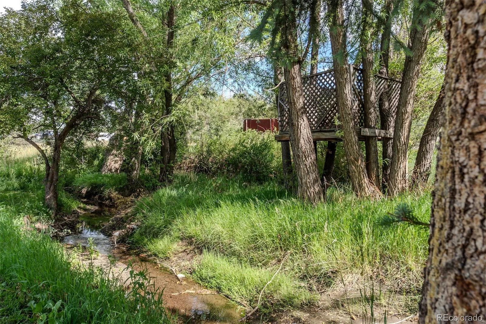 830 S Harlan Street Lakewood CO 80226 | MLS #REC6412240 07292026212332 1600 2