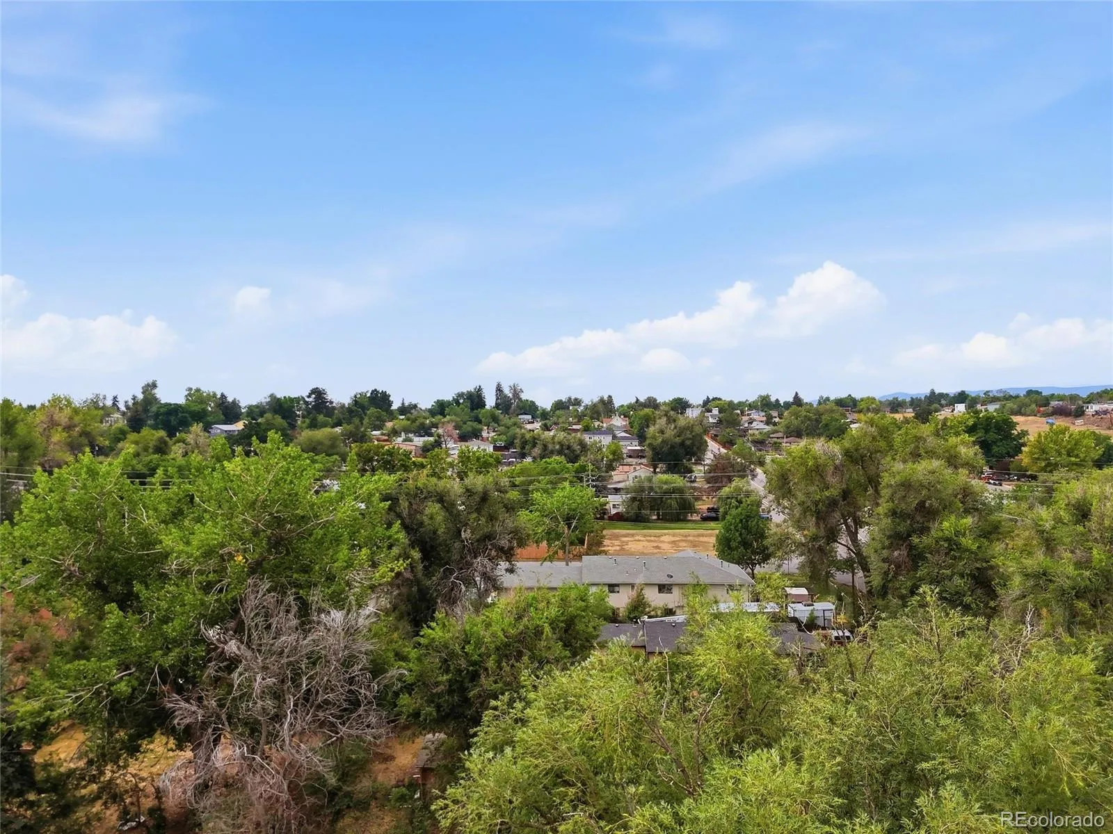 830 S Harlan Street Lakewood CO 80226 | MLS #REC6412240 07292026212332 1600 49