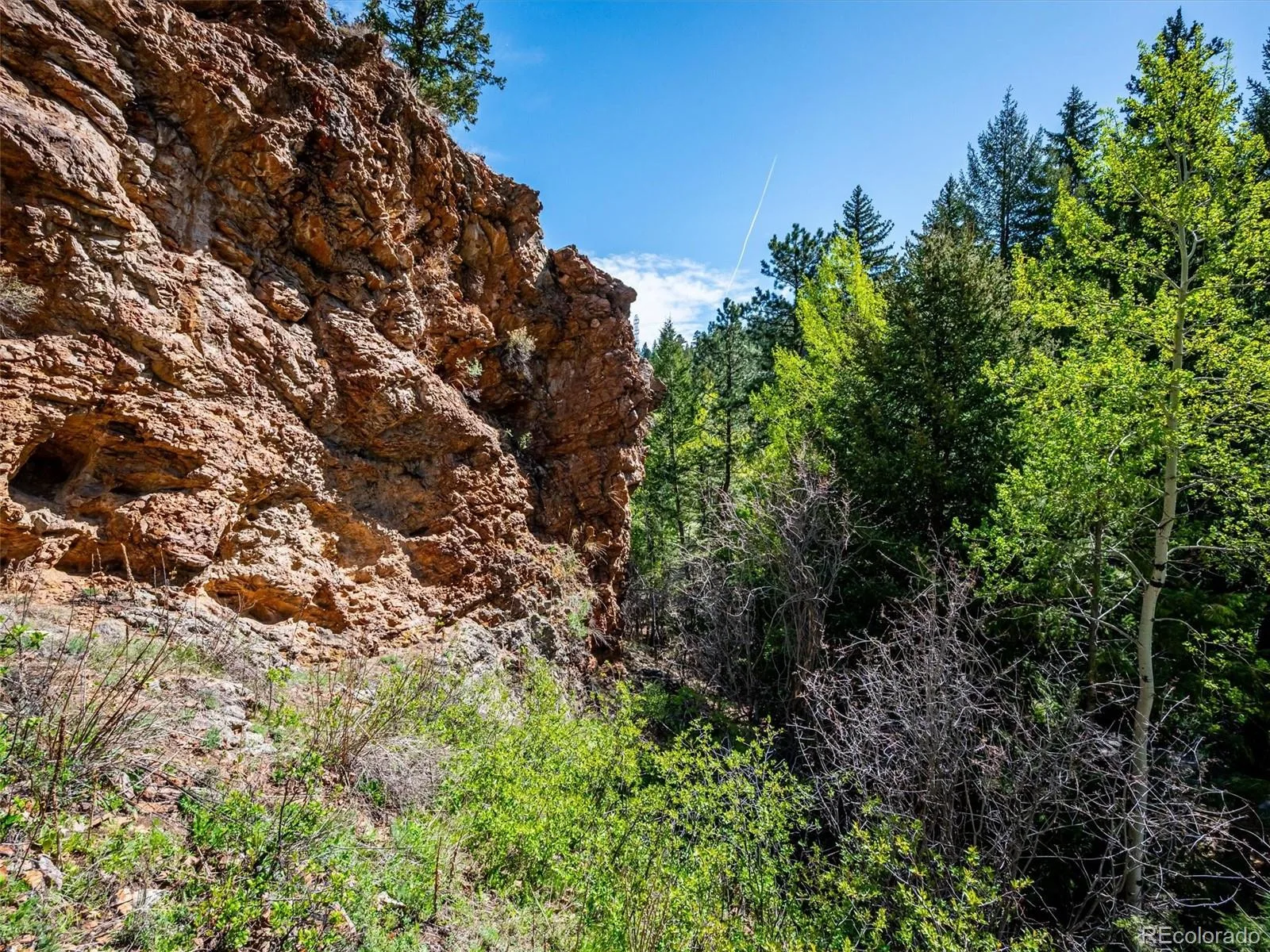 164 Fawn Creek Lane Evergreen CO 80439 | MLS #REC6424480 07232026231550 1600 30