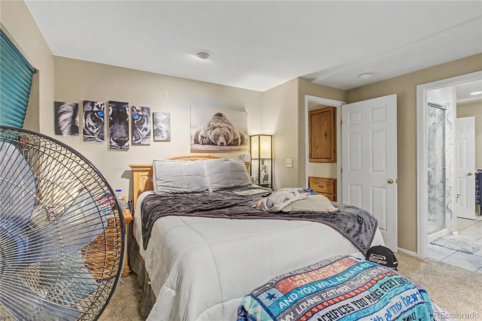 5807 W 81st Place Arvada CO 80003 MLS #REC6428642 06282026205033 1600 15