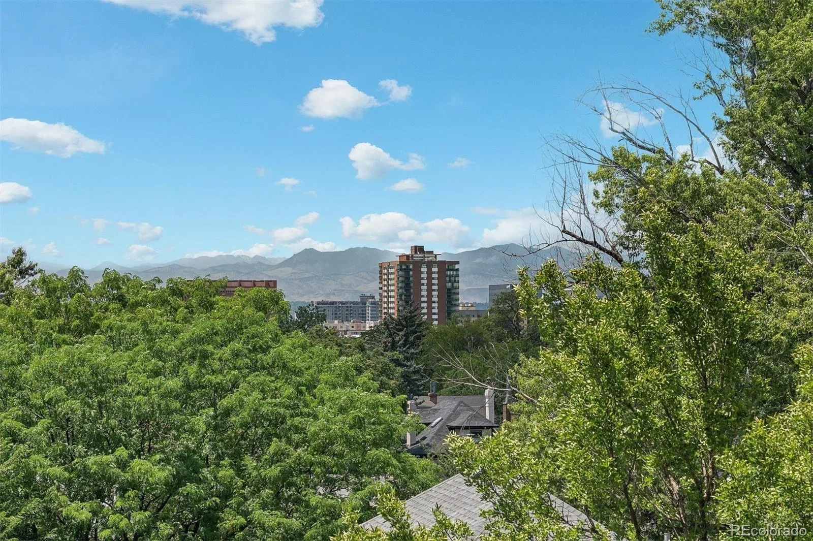 1050 N Lafayette Street #108 Denver CO 80218 | MLS #REC6429738 08182026154601 1600 22