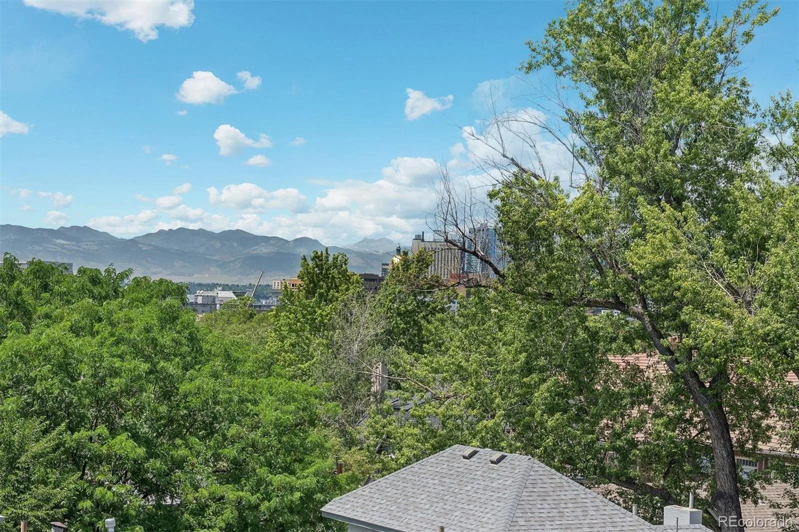 1050 N Lafayette Street #108 Denver CO 80218 | MLS #REC6429738 08182026154601 1600 31