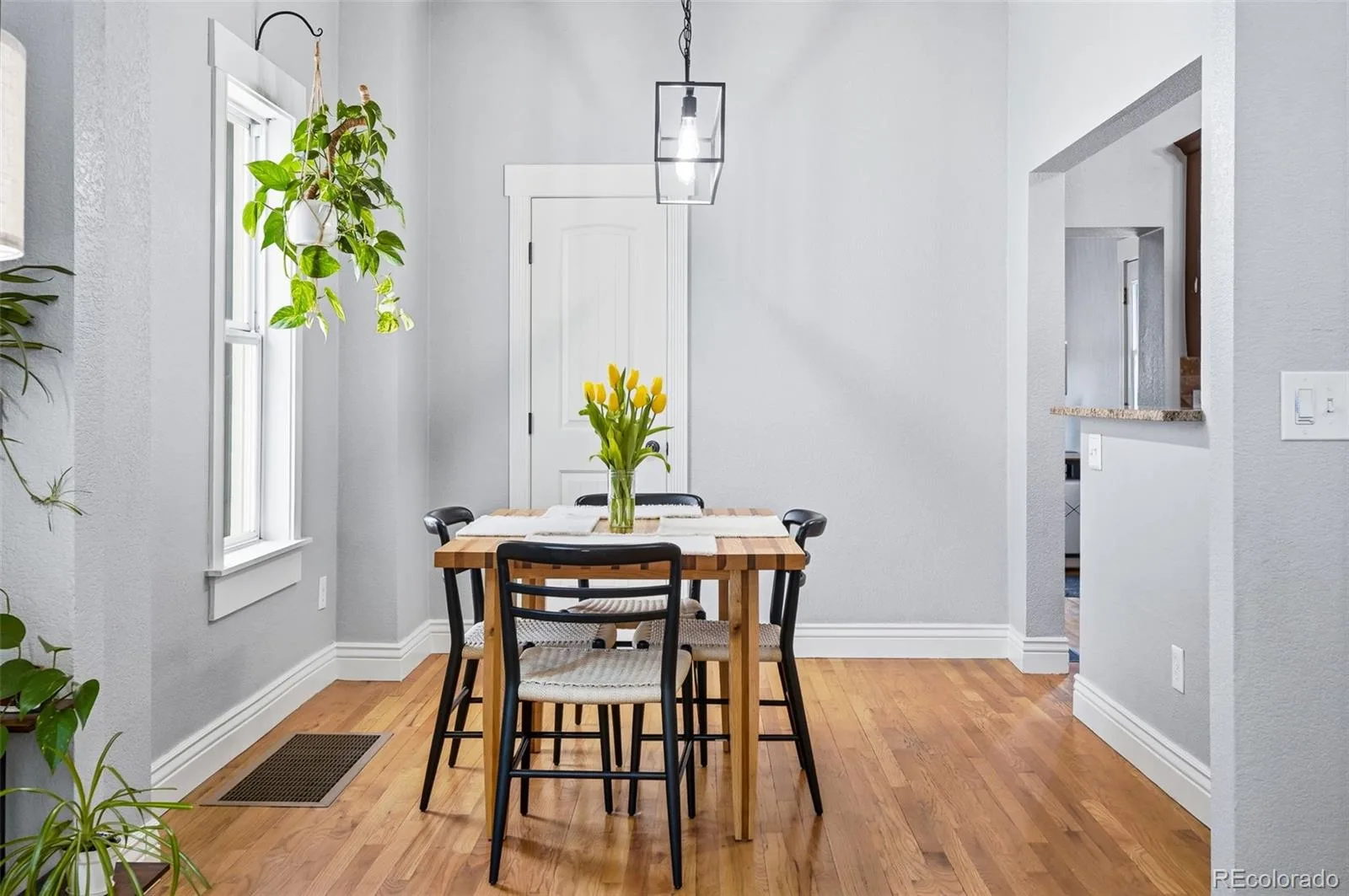 3744 N Gilpin Street Denver CO 80205 MLS #REC6438991 07062026170224 1600 8
