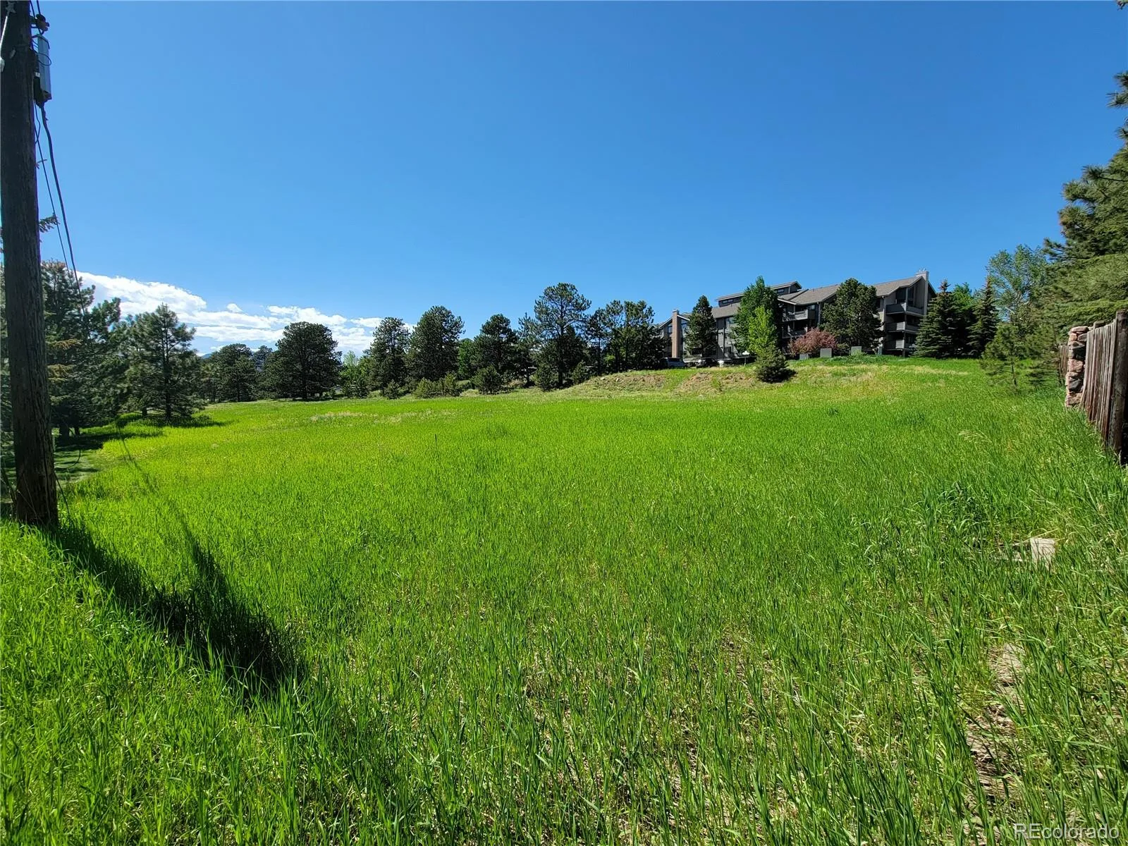 31720 Rocky Village Drive Evergreen CO 80439 | MLS #REC6440975 06102026164628 1600 1