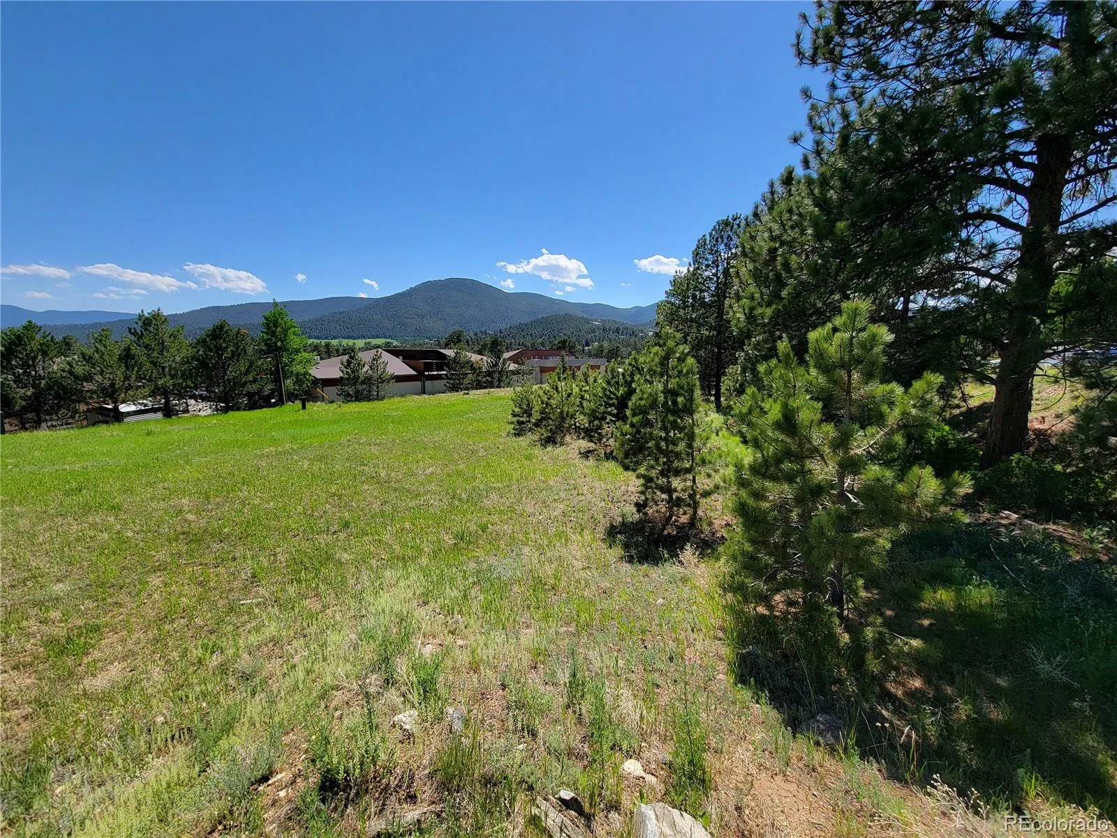 31720 Rocky Village Drive Evergreen CO 80439 | MLS #REC6440975 06102026164628 1600 10