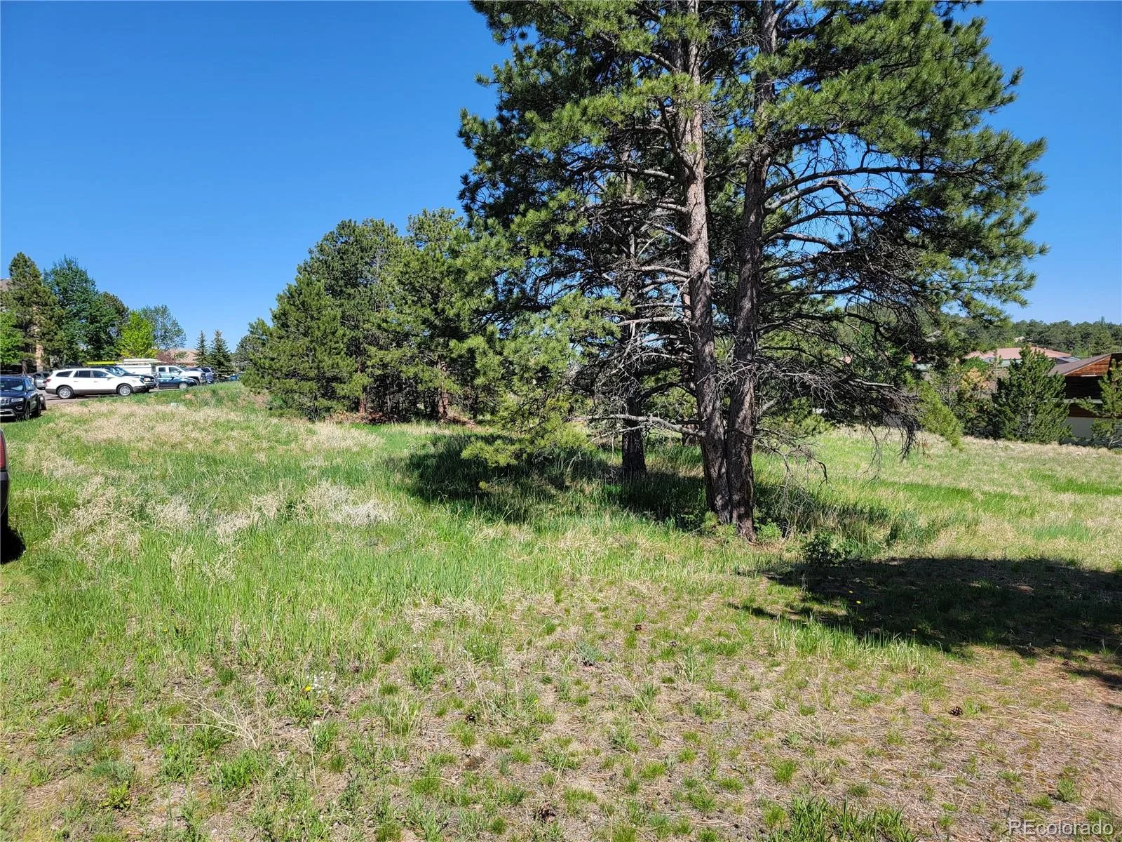 31720 Rocky Village Drive Evergreen CO 80439 | MLS #REC6440975 06102026164628 1600 2