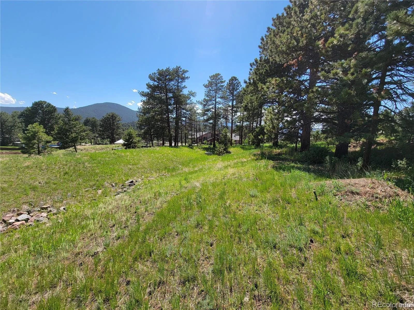 31720 Rocky Village Drive Evergreen CO 80439 | MLS #REC6440975 06102026164628 1600 3