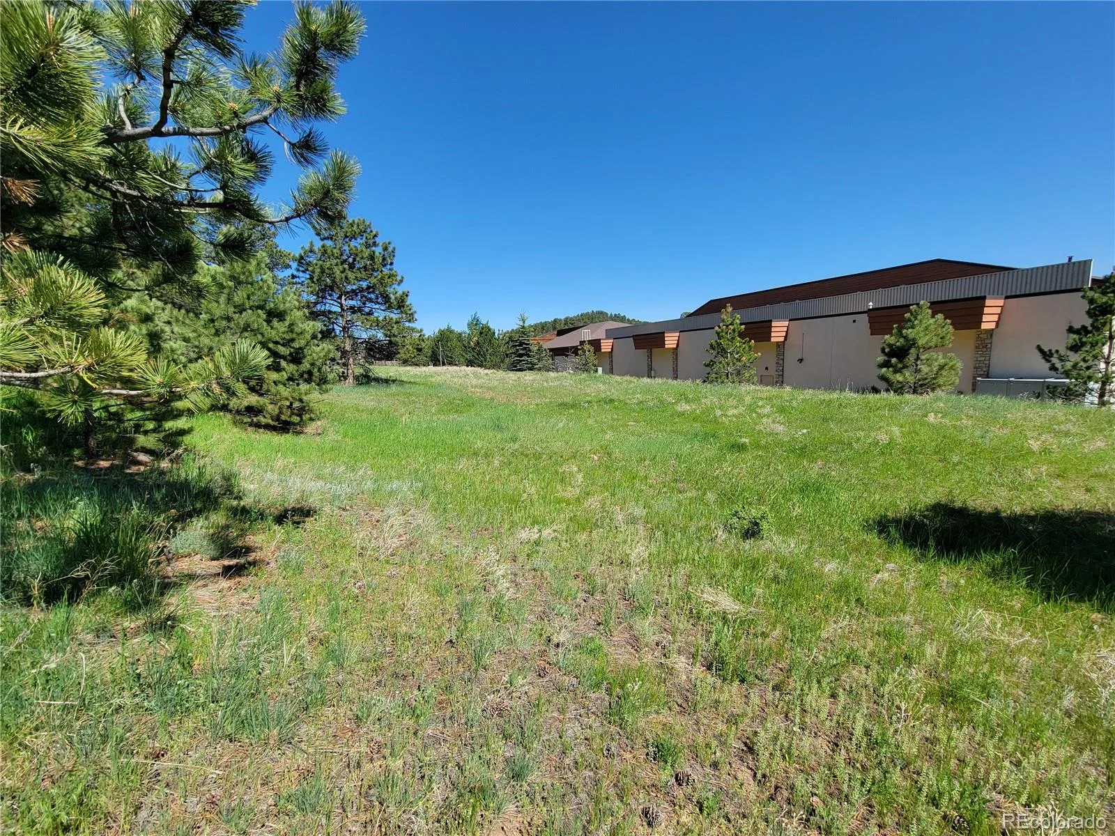 31720 Rocky Village Drive Evergreen CO 80439 | MLS #REC6440975 06102026164628 1600 4