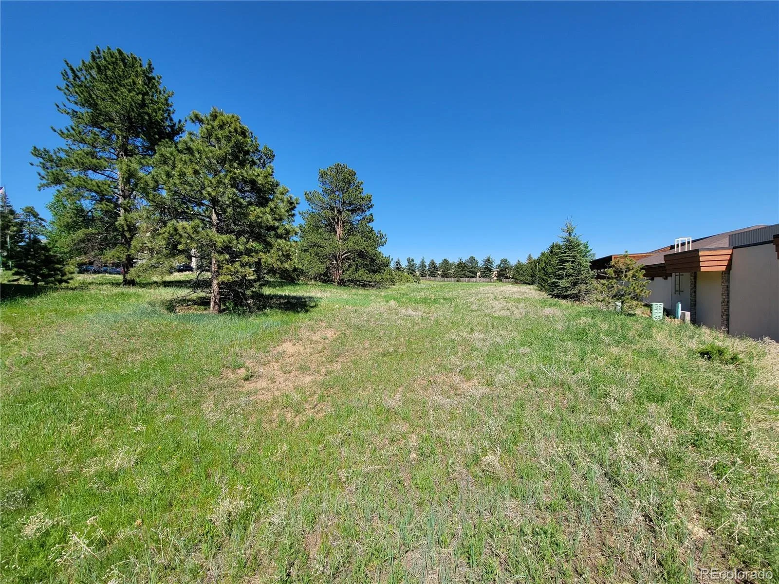 31720 Rocky Village Drive Evergreen CO 80439 | MLS #REC6440975 06102026164628 1600 5
