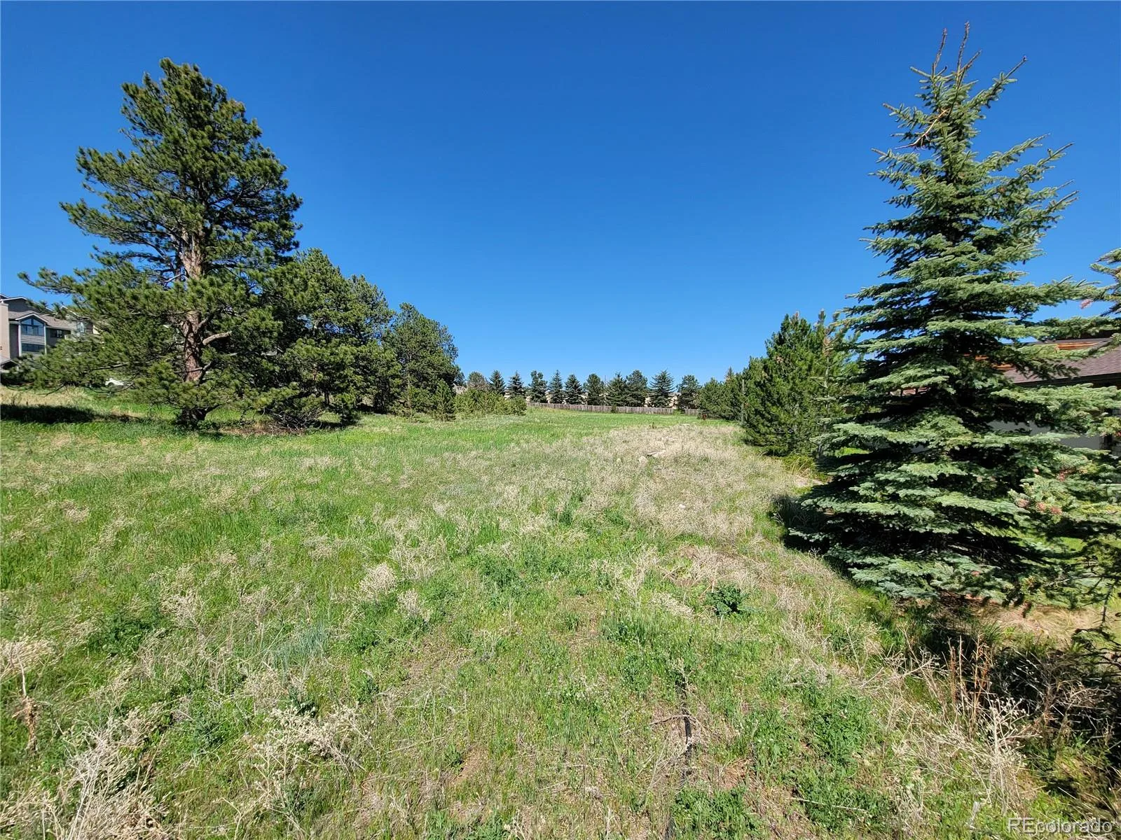 31720 Rocky Village Drive Evergreen CO 80439 | MLS #REC6440975 06102026164628 1600 6