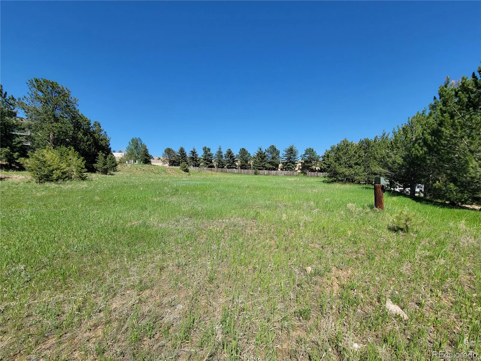 31720 Rocky Village Drive Evergreen CO 80439 | MLS #REC6440975 06102026164628 1600 7