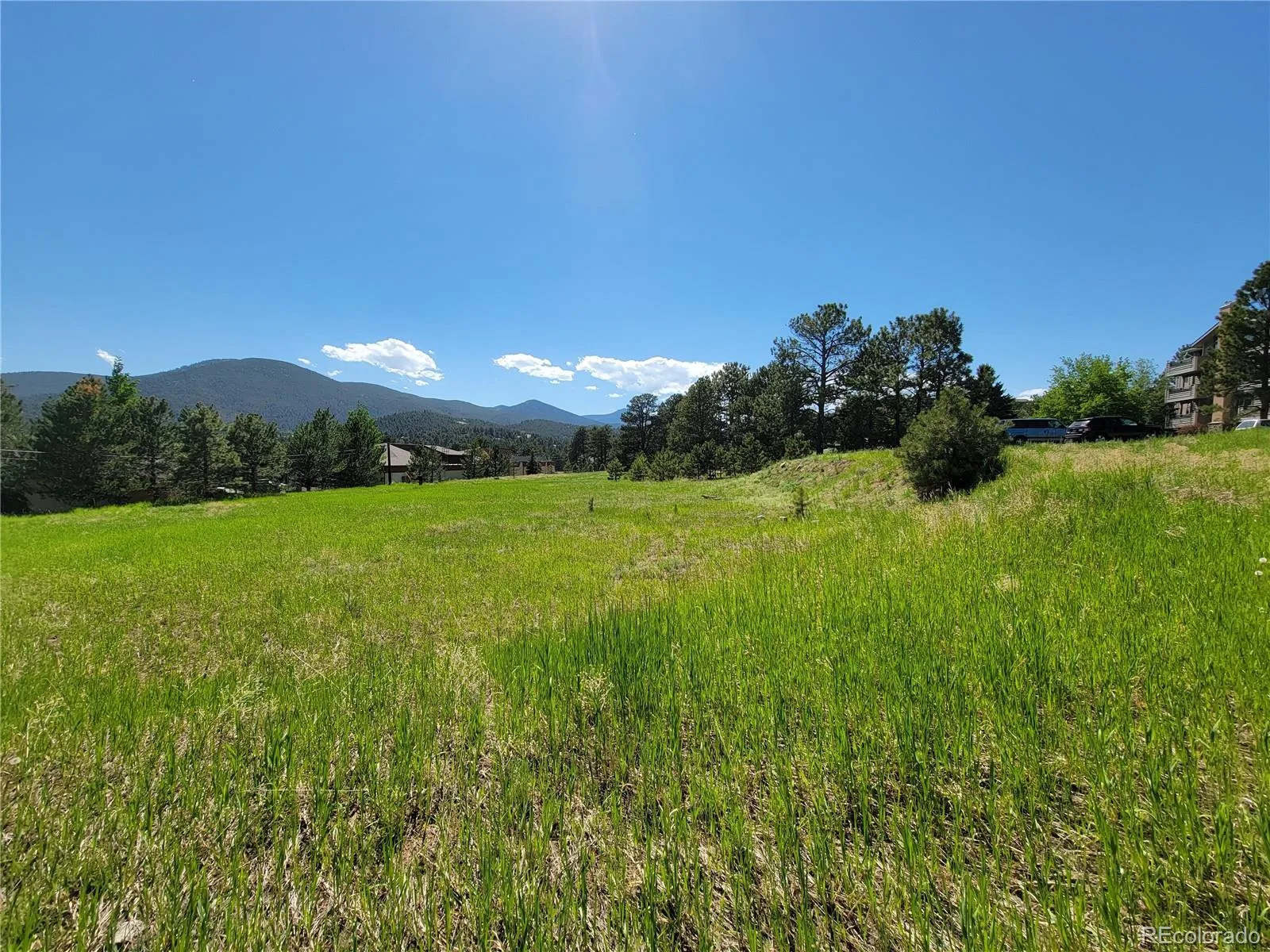 31720 Rocky Village Drive Evergreen CO 80439 | MLS #REC6440975 06102026164628 1600 9